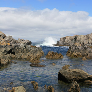 mit alternativem Text