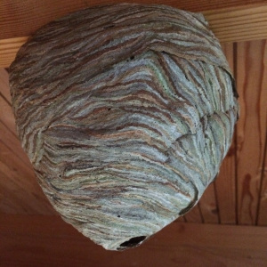 Ein kleines Kunstwerk | Foto Thomas Bierbaum 